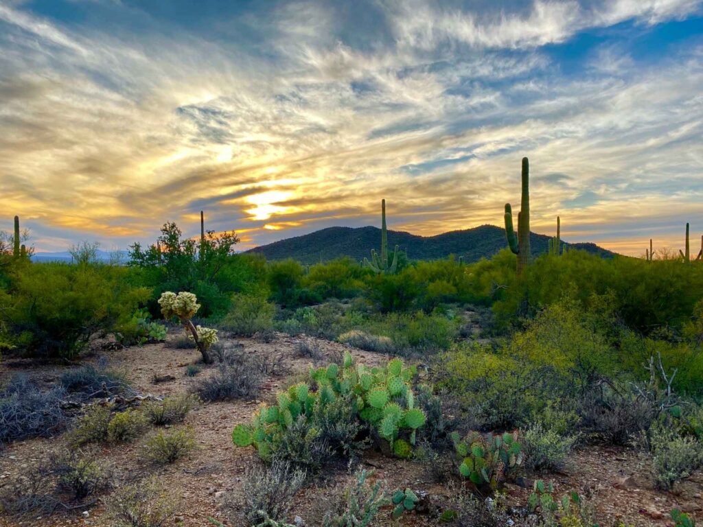 Bisbee to Tucson Day trip