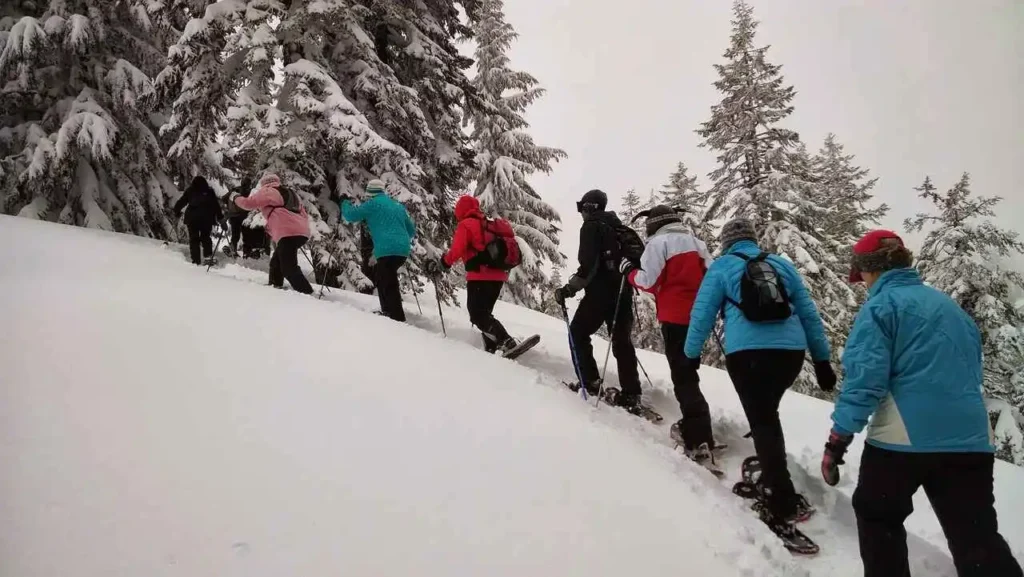 A person snowshoeing through the quiet winter pine forests along Icicle Creek in Leavenworth Washington.
