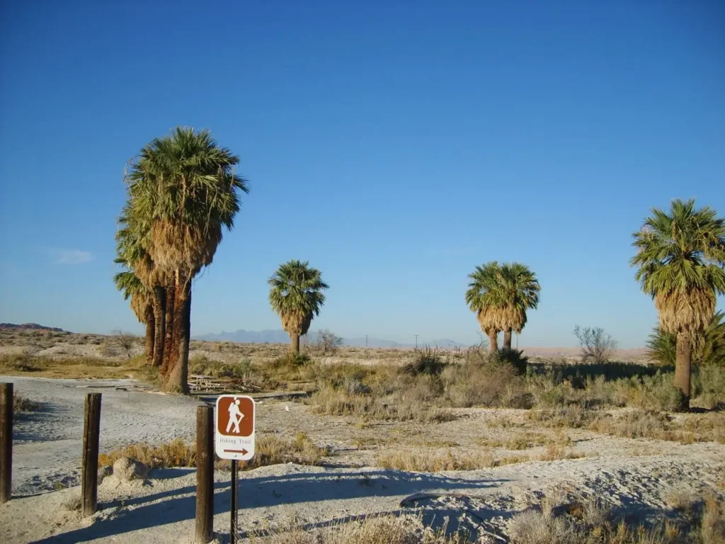 Discover Ajo AZ a hidden Arizona gem known for its colorful plaza, mining history, and desert landscapes