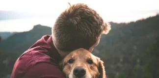Bisbee AZ pet friendly guide featuring a dog exploring historic downtown Bisbee with pet-friendly hotels, restaurants, hiking trails, and scenic streets.