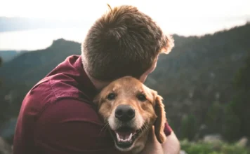 Bisbee AZ pet friendly guide featuring a dog exploring historic downtown Bisbee with pet-friendly hotels, restaurants, hiking trails, and scenic streets.