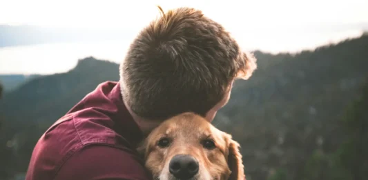 Bisbee AZ Pet Friendly Guide: Where to Stay, Eat & Explore With Your Dog (2026) Bisbee AZ pet friendly guide featuring a dog exploring historic downtown Bisbee with pet-friendly hotels, restaurants, hiking trails, and scenic streets.