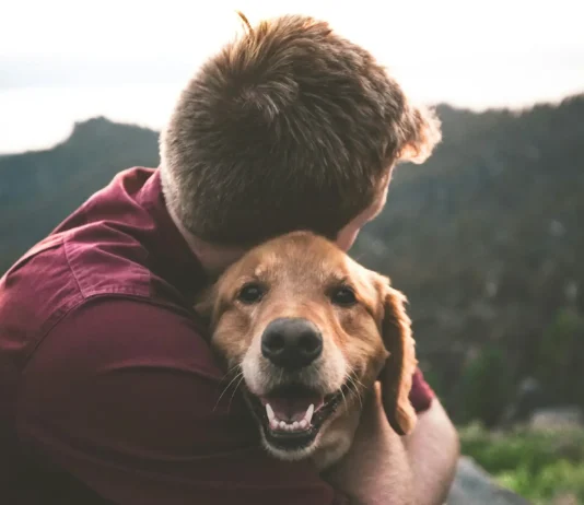 Bisbee AZ Pet Friendly Guide: Where to Stay, Eat & Explore With Your Dog (2026) Bisbee AZ pet friendly guide featuring a dog exploring historic downtown Bisbee with pet-friendly hotels, restaurants, hiking trails, and scenic streets.